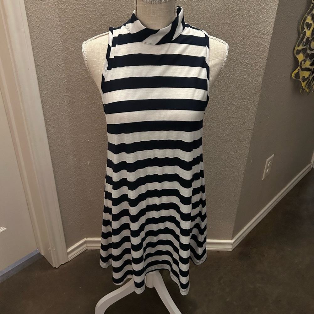 Zebra Striped Dress